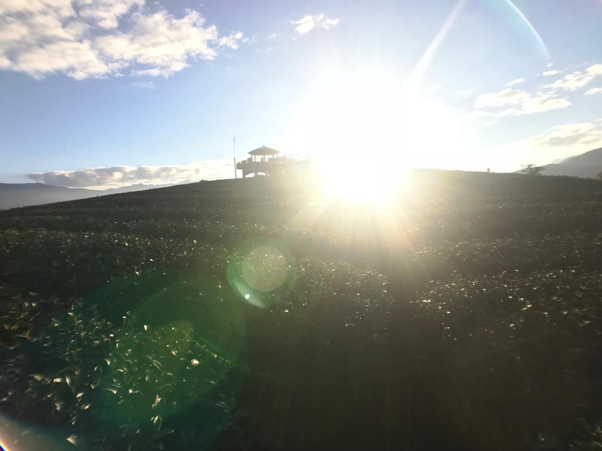De Ren Tea Gardens Leilighet Meishan Eksteriør bilde