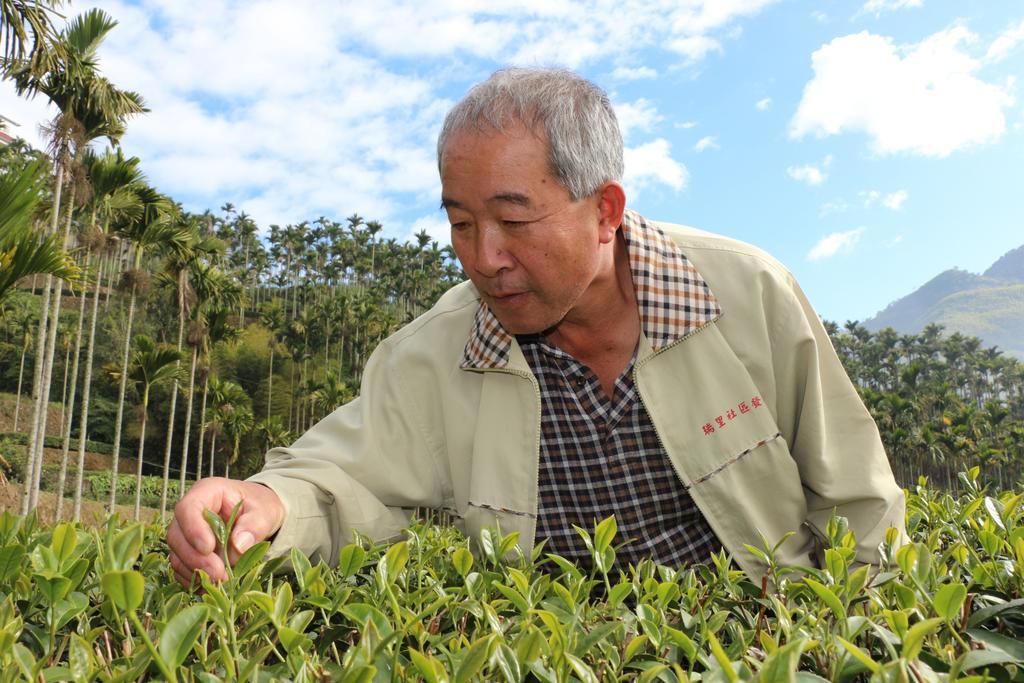 De Ren Tea Gardens Leilighet Meishan Eksteriør bilde