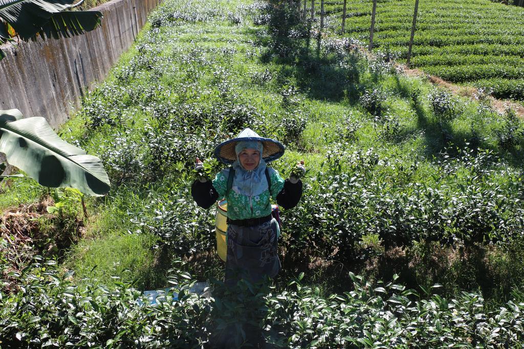 De Ren Tea Gardens Leilighet Meishan Eksteriør bilde
